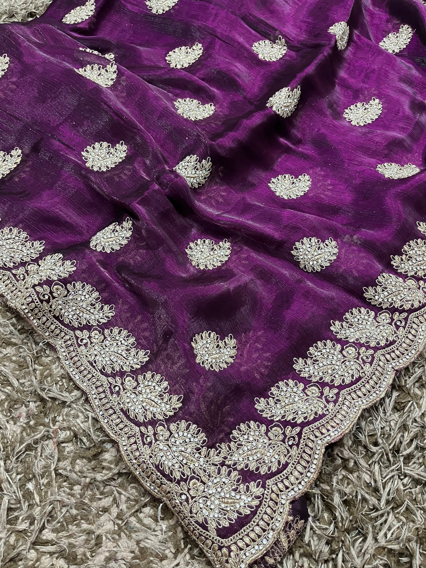 Exclusive designer jimmy choo sarees