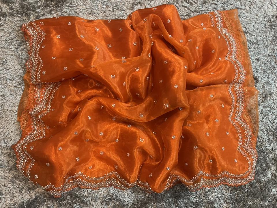 Handworked tissue organza sarees in cutwork border