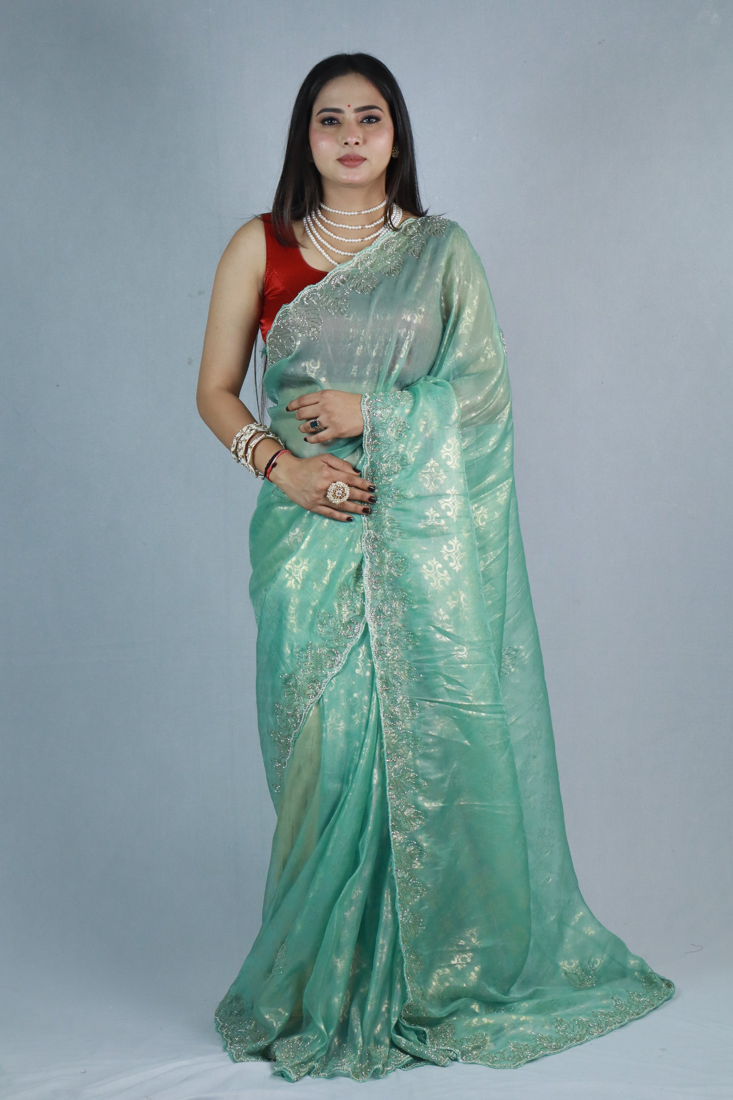 Damini Pure Jacquard Tissue Saree