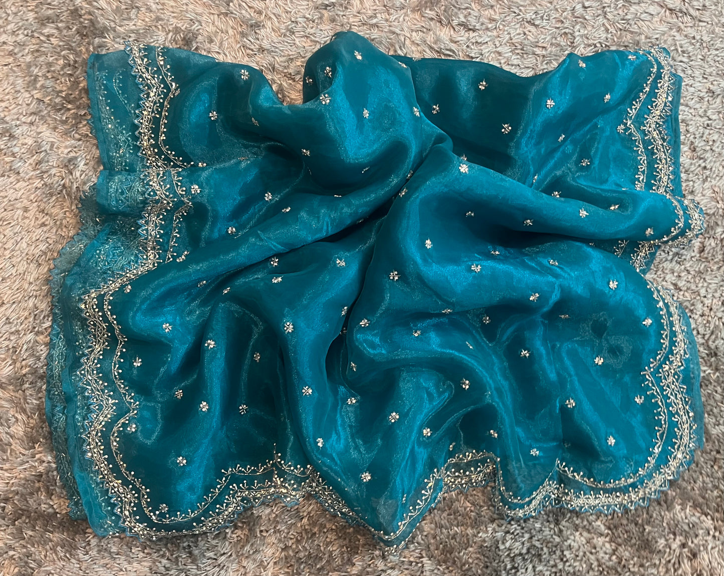 Handworked tissue organza sarees in cutwork border