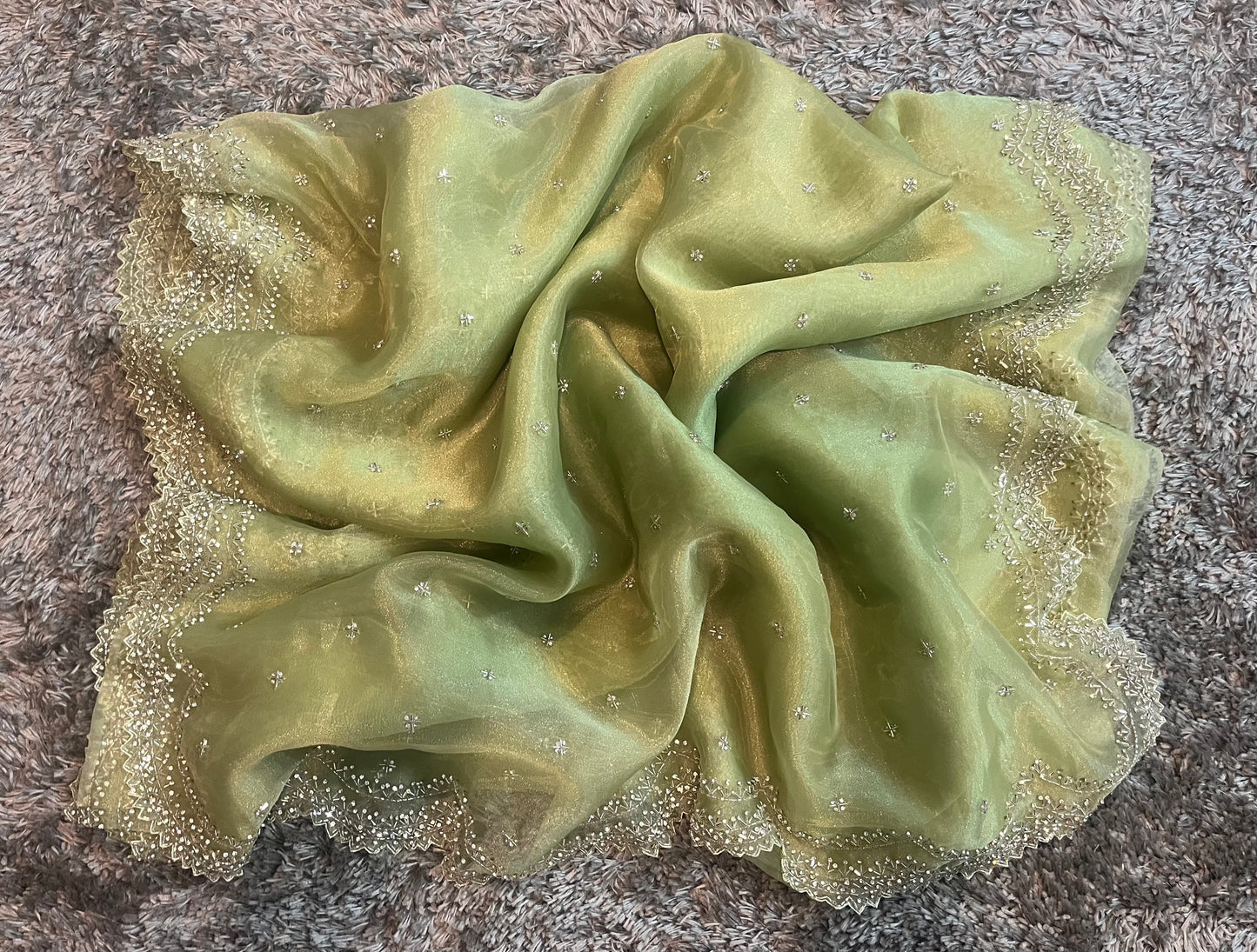 Handworked tissue organza sarees in cutwork border