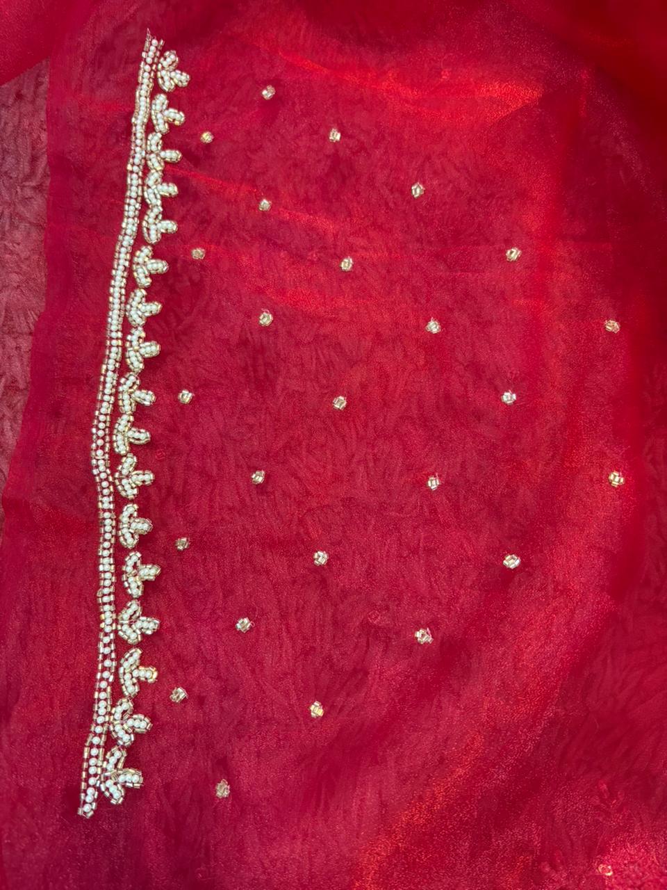 Jhalak Tissue Organza Saree – Ethereal Tissue-Organza Fabric