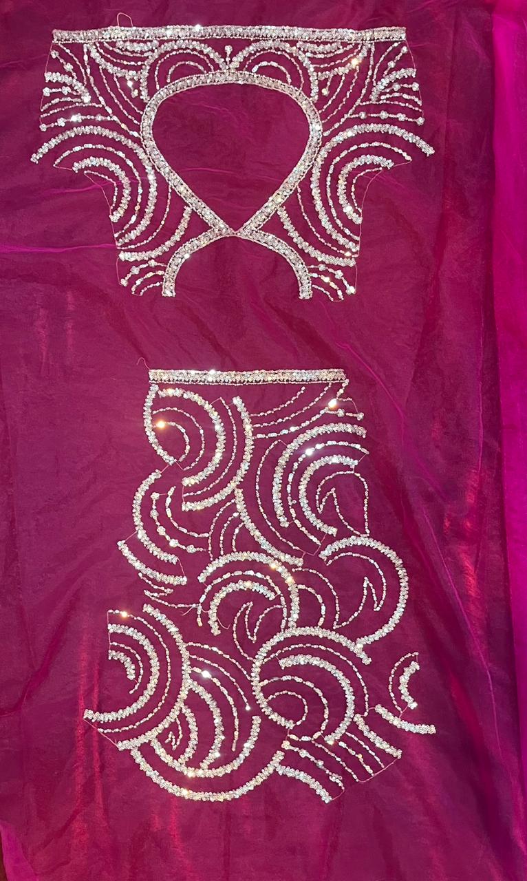 Netra Designer Net Saree
