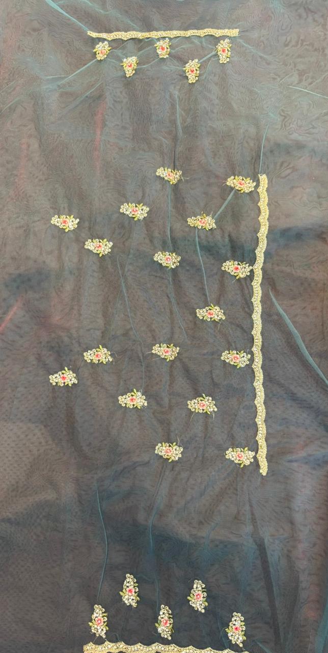 Exclusive Designer Net Saree – “Kinleyy”