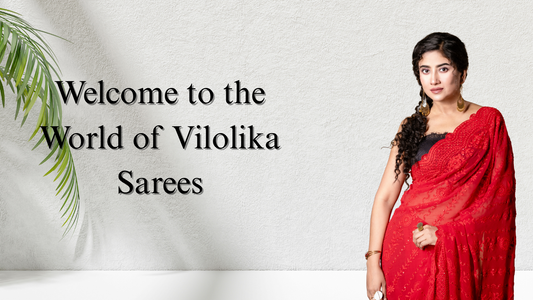 Celebrate You, Celebrate Vilolika
