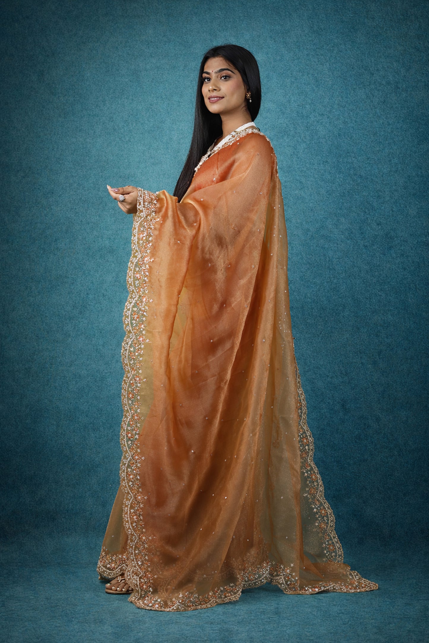 Jhalak Premium Tissue Saree