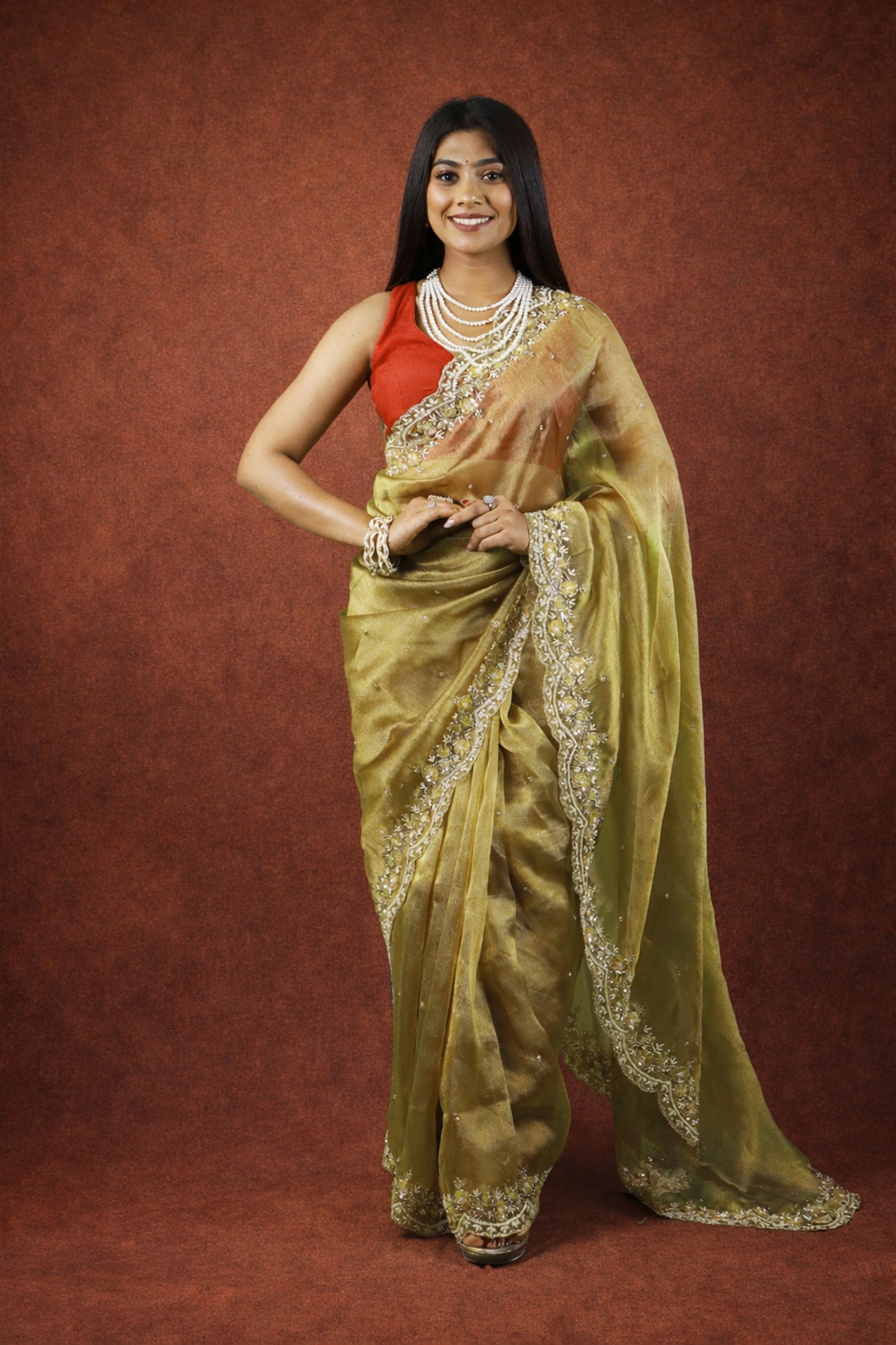 Jhalak Premium Tissue Saree