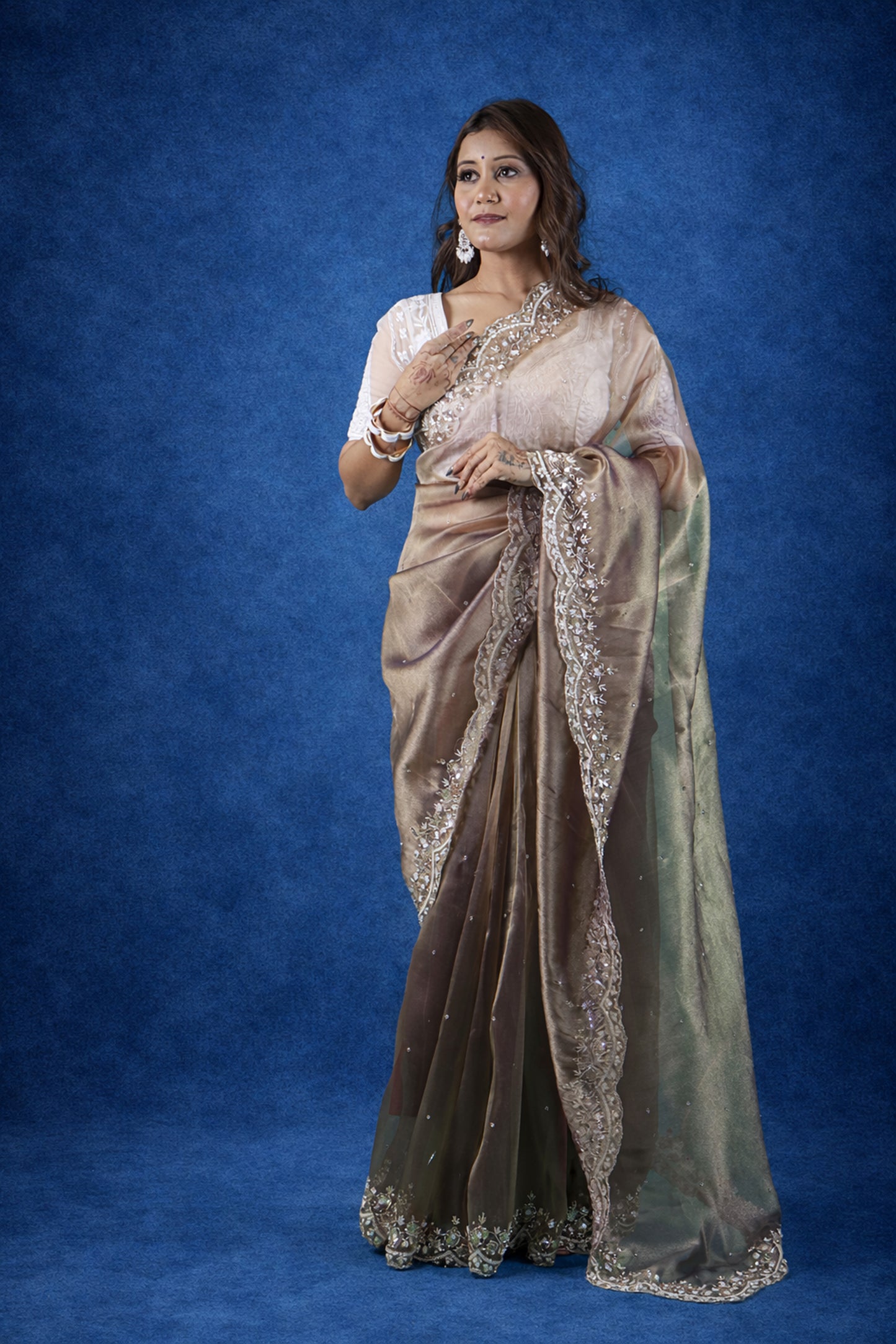 Jhalak Premium Tissue Saree