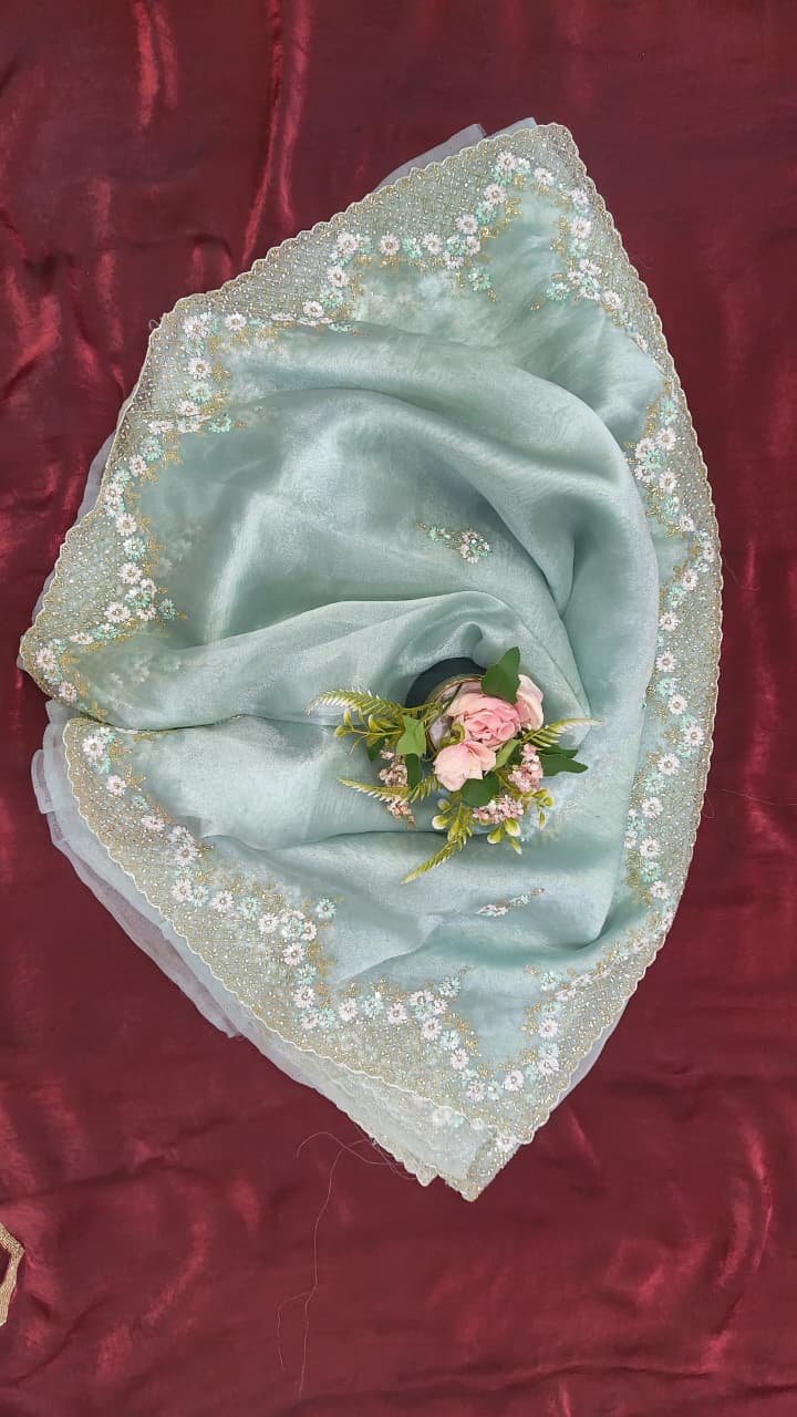Handworked Tissue organza saree in triangle motif
