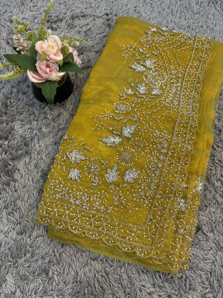 Gulmohar Tissue Organza Saree – Radiant Woven Luminosity