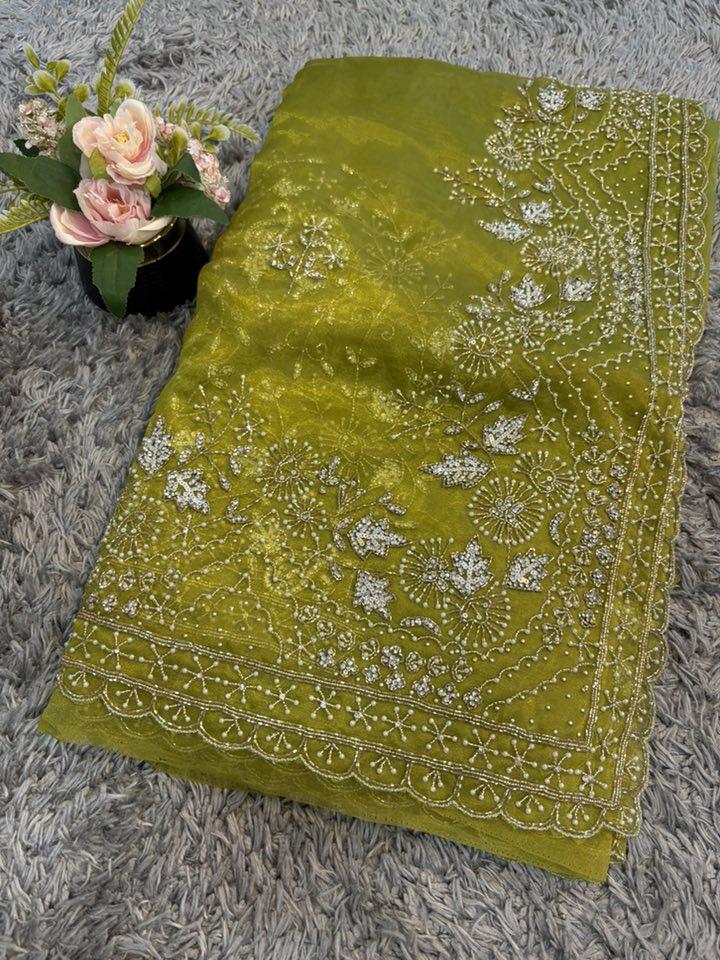 Gulmohar Tissue Organza Saree – Radiant Woven Luminosity