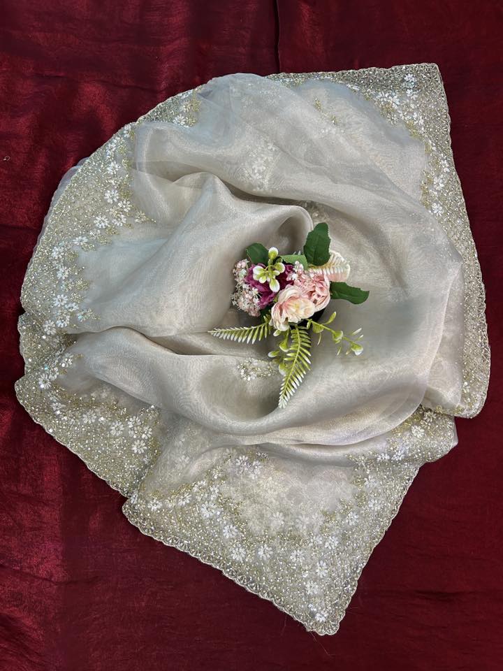 Handworked Tissue organza saree in triangle motif