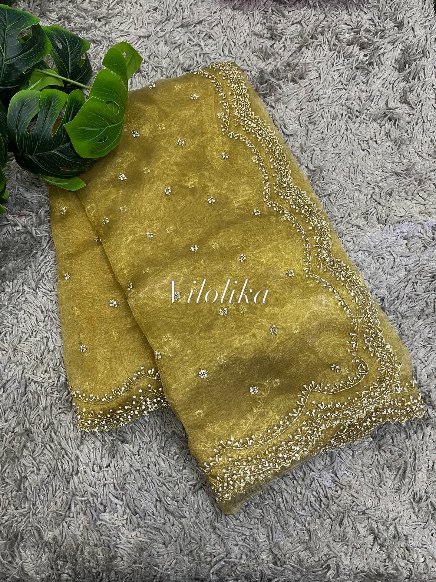 Dhamaka Tissue Organza saree in cutwork border