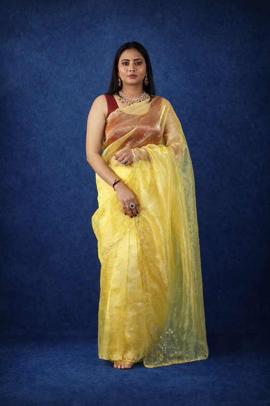 Viva Tissue Organza Saree – Ethereal Organza Finish