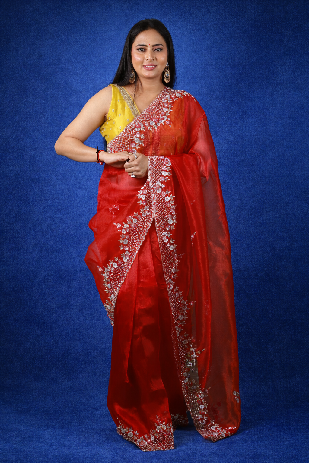 Handworked Tissue organza saree in triangle motif