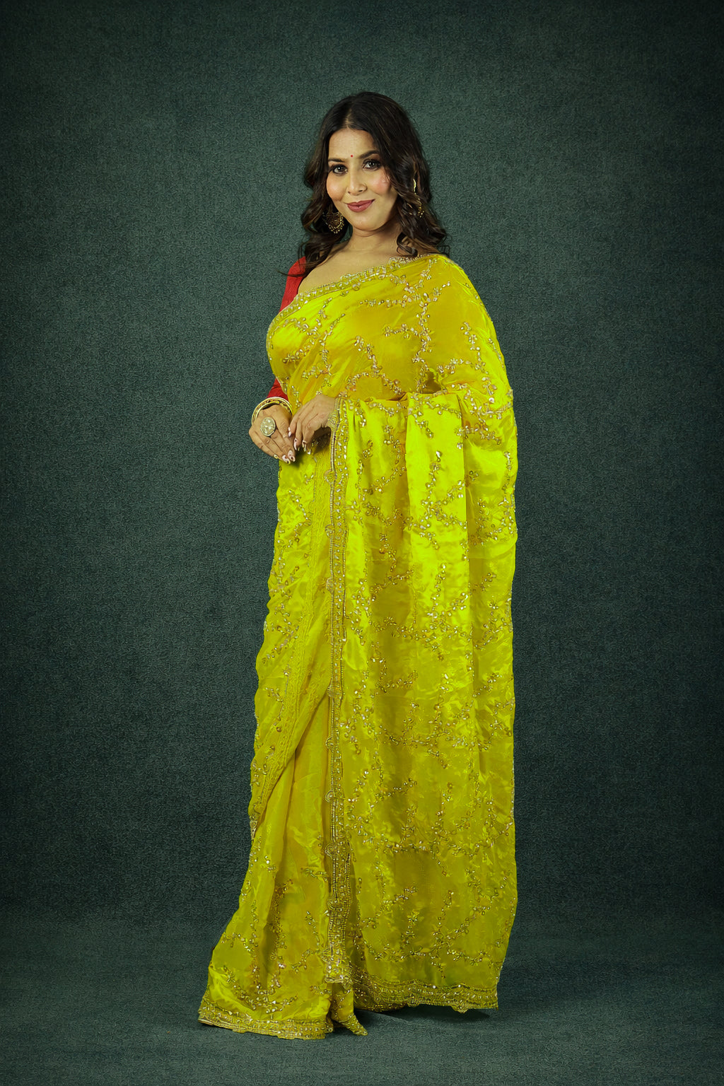 Sitara Fendy Satin Saree in slick border with heavy full sleeve blouse piece