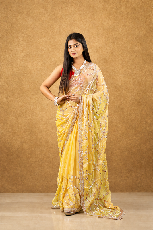 Sitara Fendy Satin Saree in slick border with heavy full sleeve blouse piece