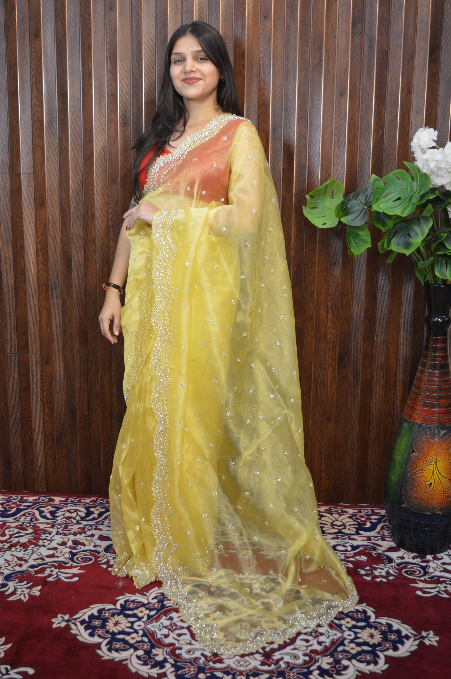 Dhamaka Tissue Organza saree in cutwork border