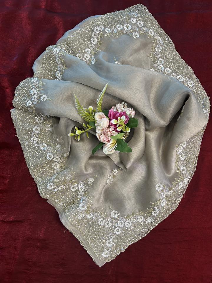 Handworked Tissue organza saree in triangle motif
