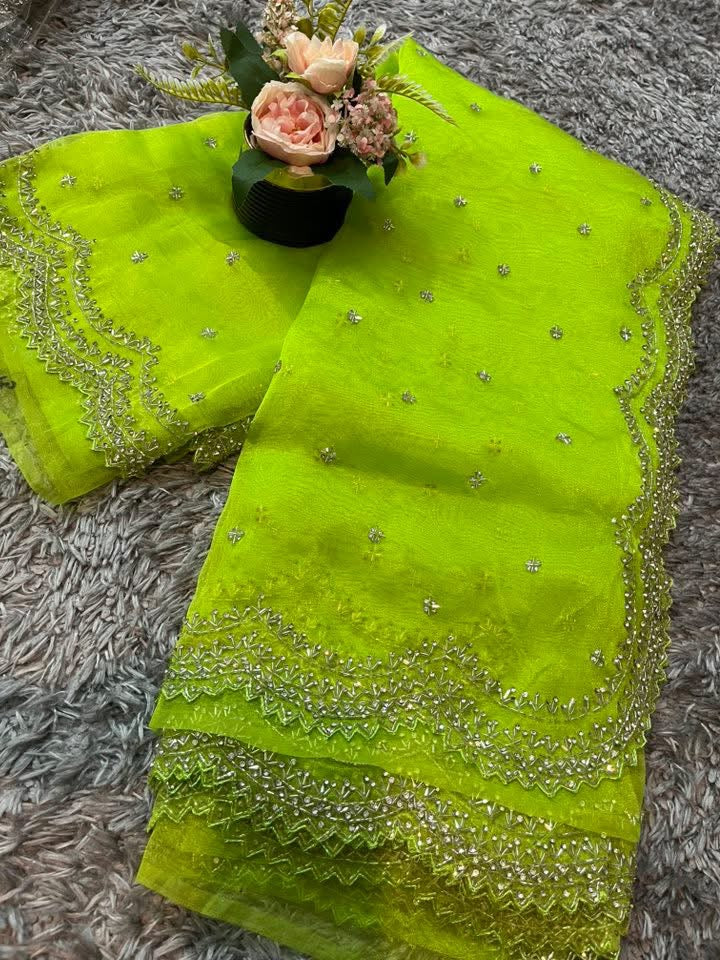 Dhamaka Tissue Organza saree in cutwork border