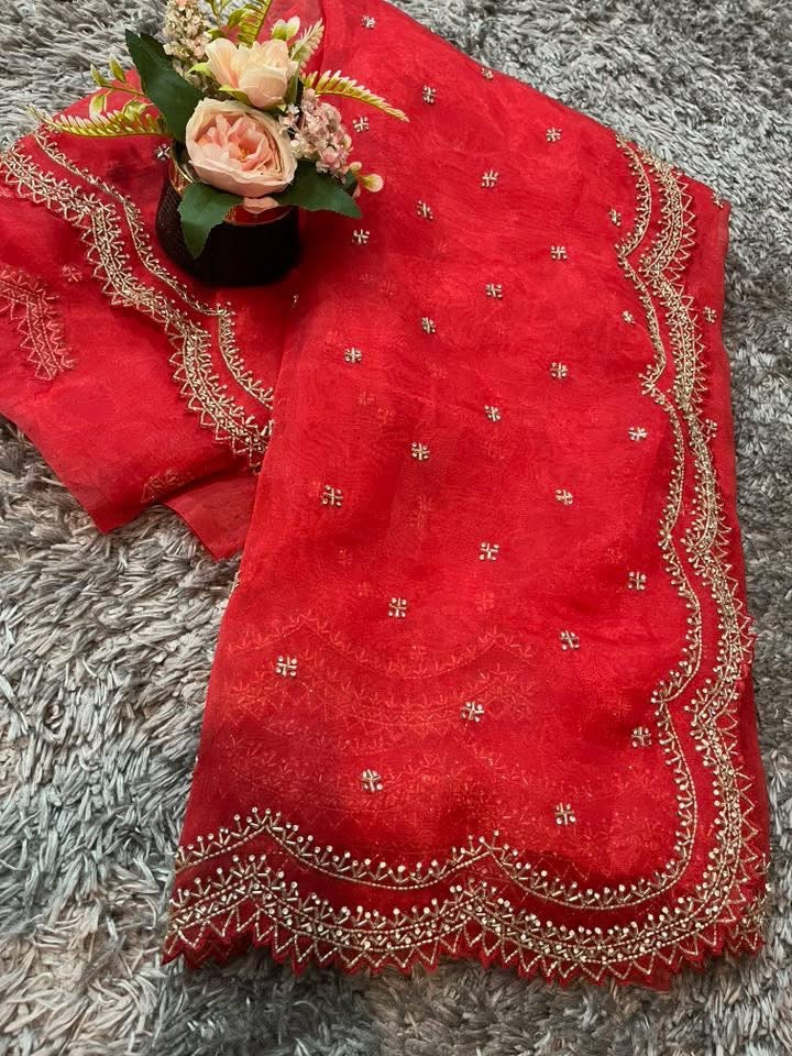 Dhamaka Tissue Organza saree in cutwork border