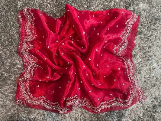 Handworked tissue organza sarees in cutwork border