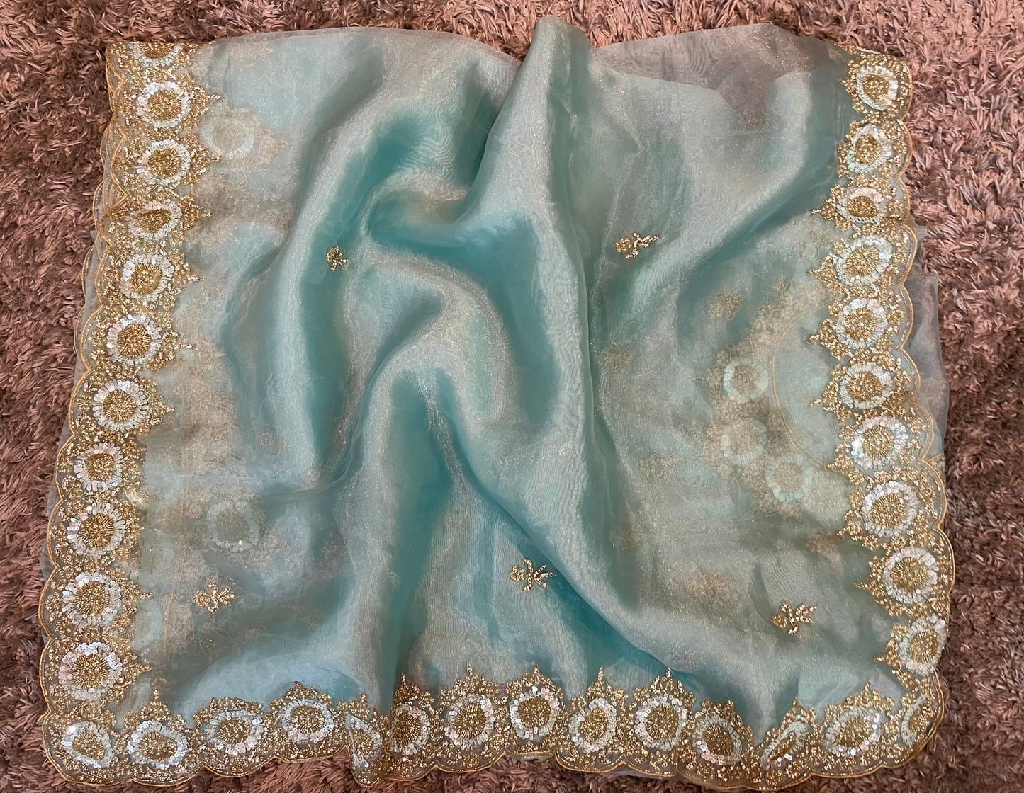 Ravina Premium hand worked tissue organza sarees