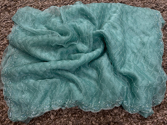 Exclusive Tissue Organza Saree with allover jaal work