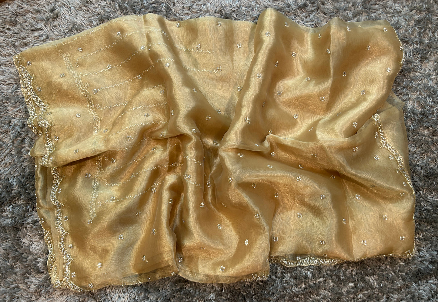 Hand worked tissue organza sarees with allover floral butta