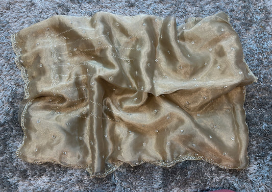 Hand worked tissue organza sarees with allover floral butta