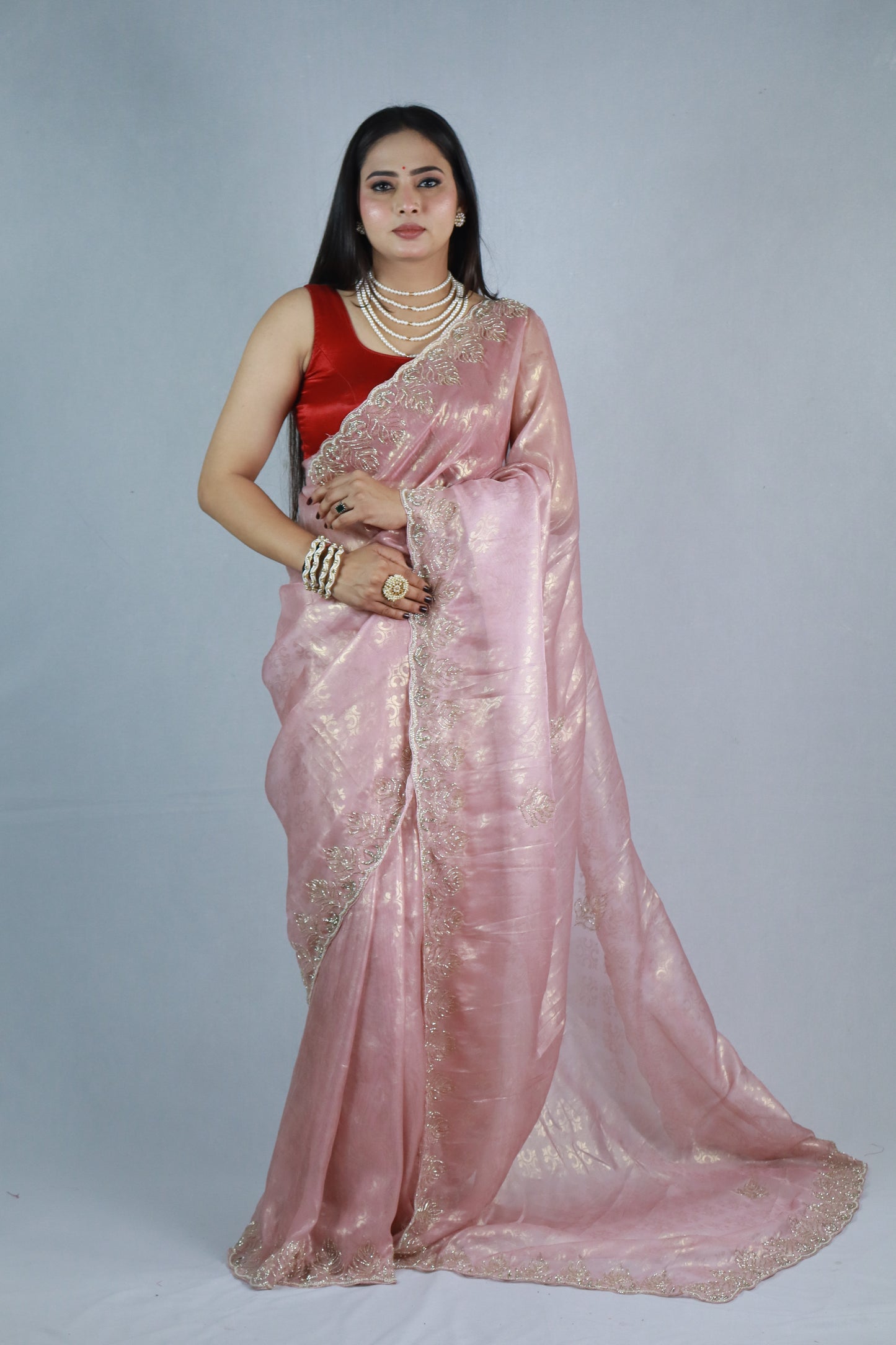 Damini Pure Jacquard Tissue Saree