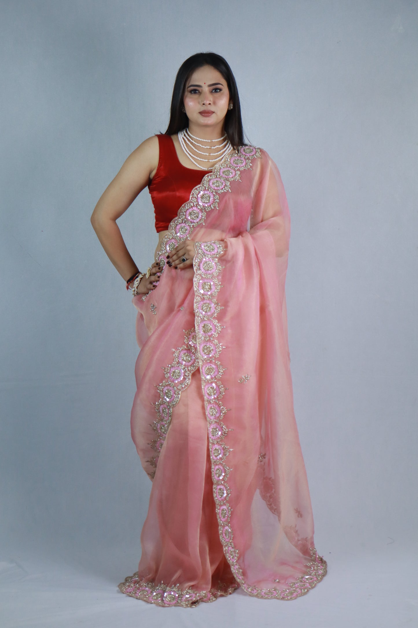 Ravina Premium Tissue Sarees