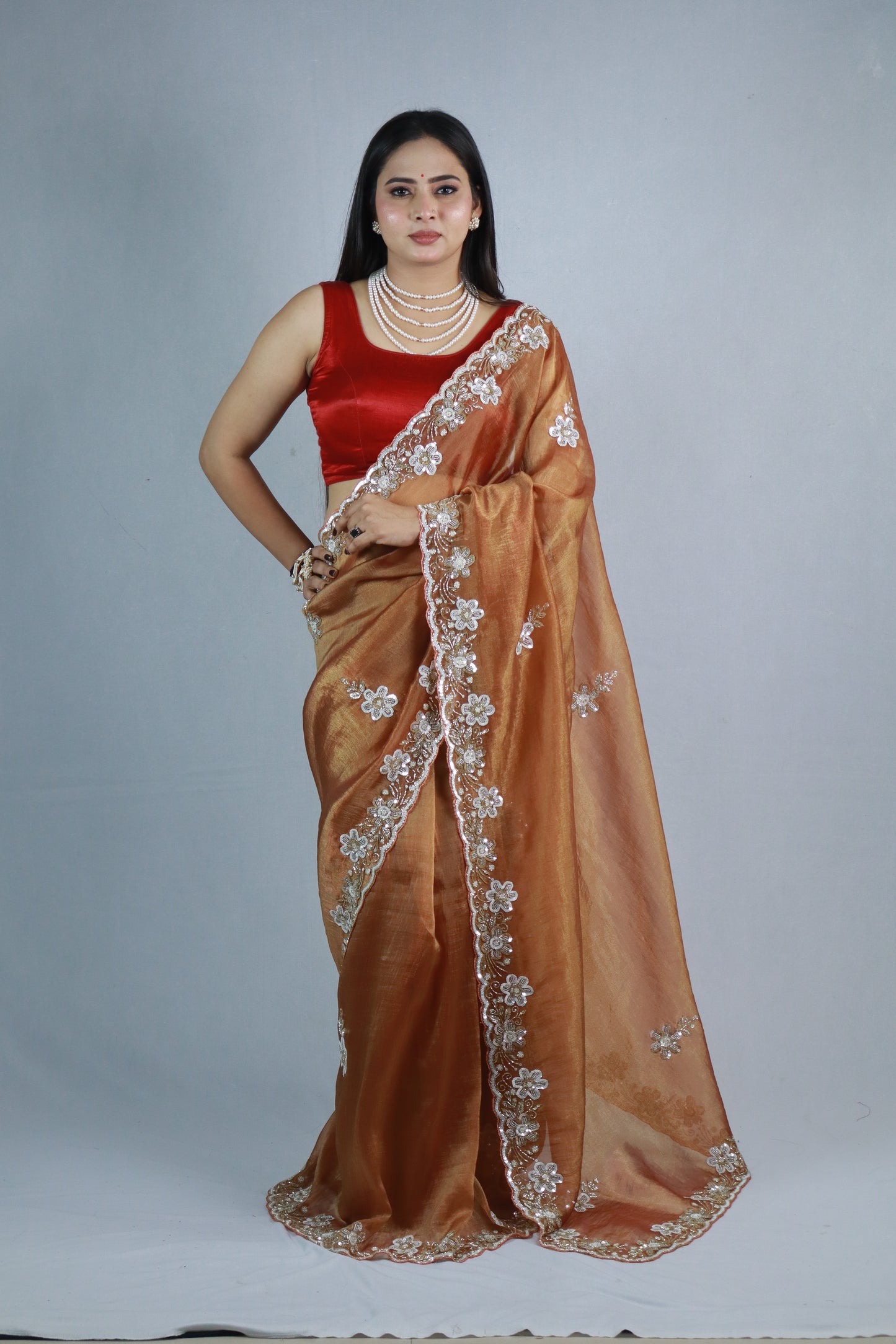 Palak Handworked Premium Tissue Saree