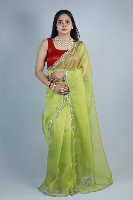 Pal Hanworked Premium Tissue Saree
