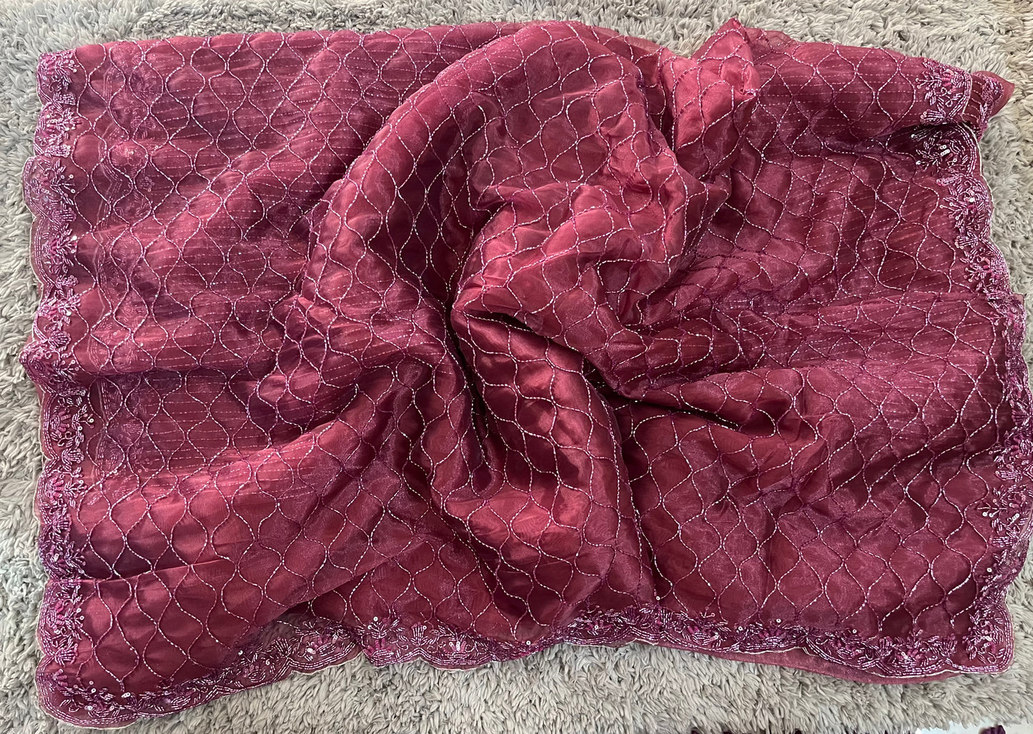 Exclusive Tissue Organza Saree with allover jaal work