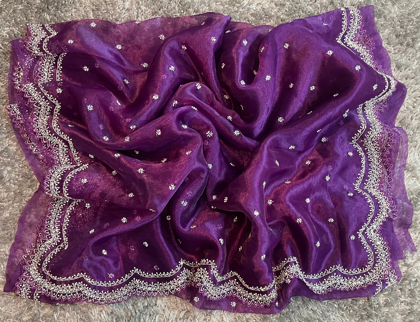 Handworked tissue organza sarees in cutwork border