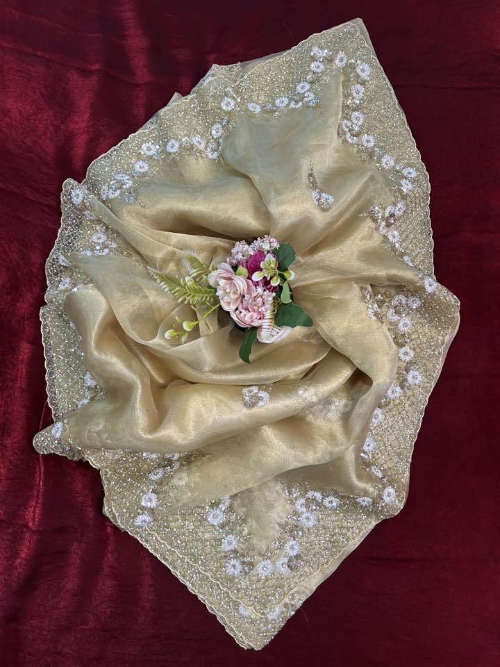Handworked Tissue organza saree in triangle motif