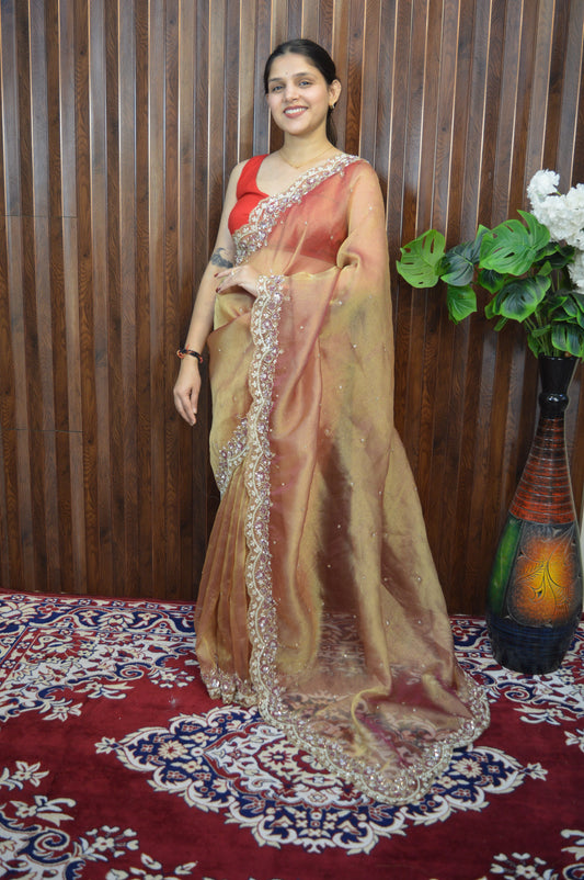 Jhalak Premium Tissue Saree