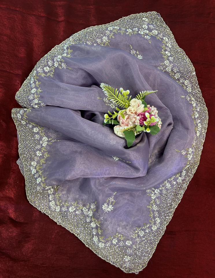 Handworked Tissue organza saree in triangle motif