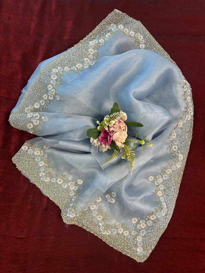 Handworked Tissue organza saree in triangle motif