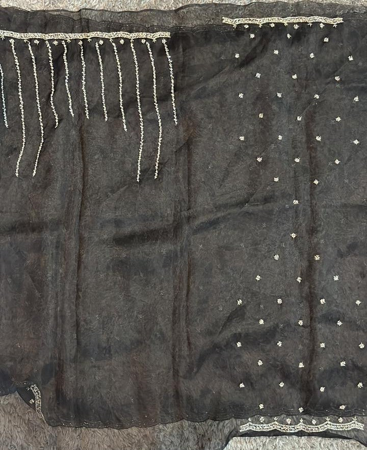 Handworked tissue organza sarees with allover floral butta