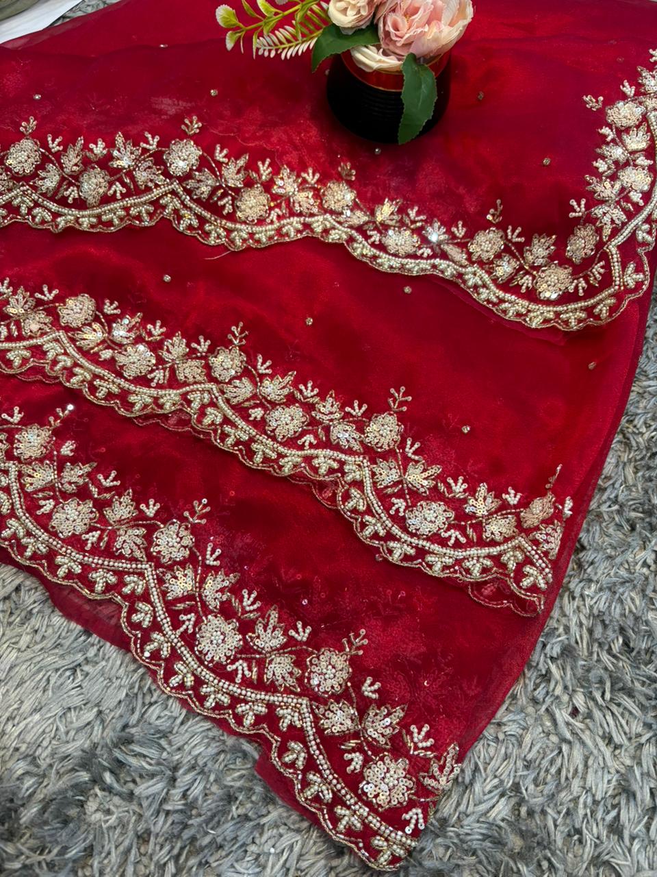 Jhalak Tissue Organza Saree – Ethereal Tissue-Organza Fabric