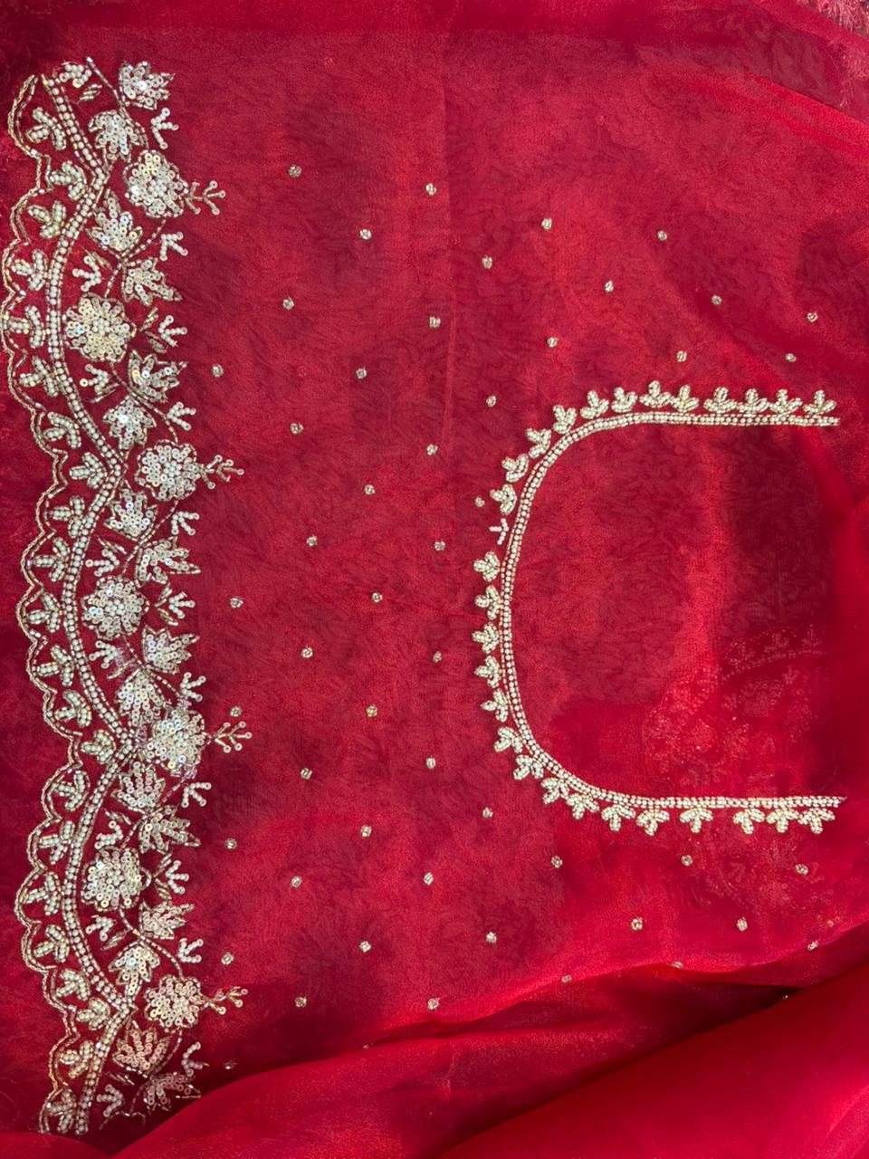 Jhalak Tissue Organza Saree – Ethereal Tissue-Organza Fabric