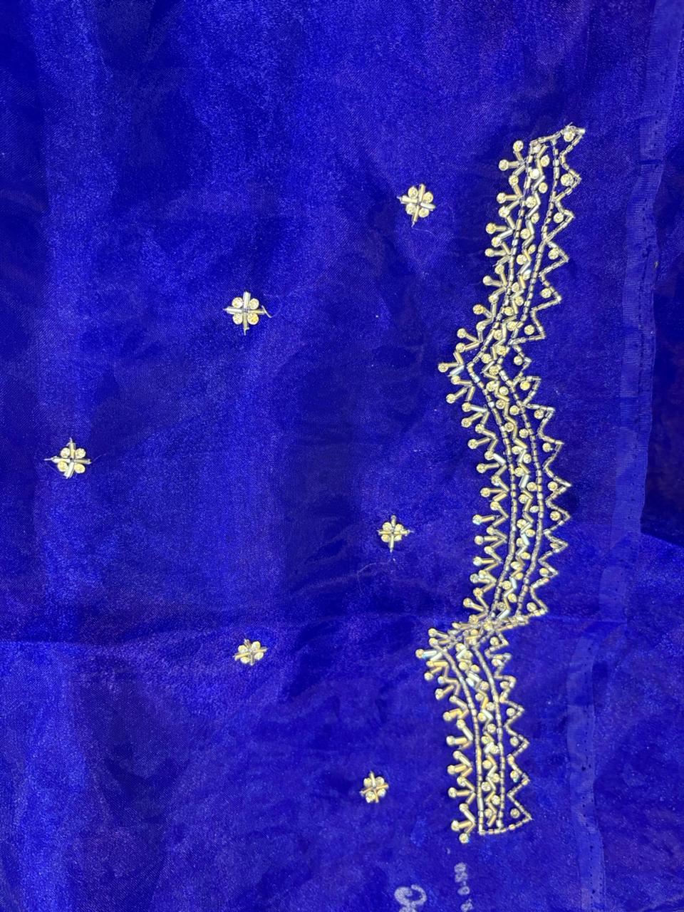 Dhamaka Tissue Organza saree in cutwork border