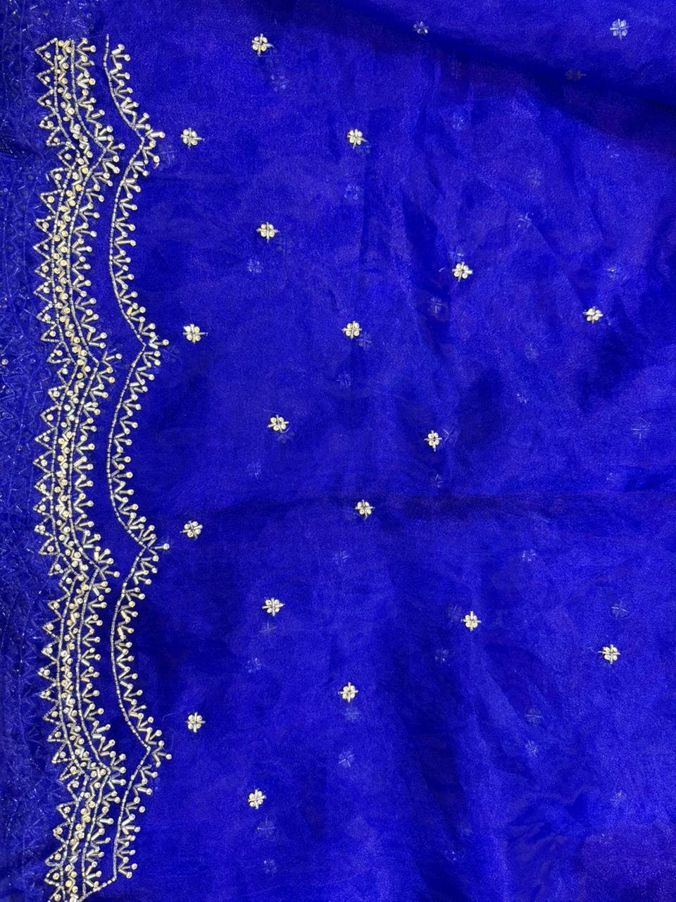 Dhamaka Tissue Organza saree in cutwork border