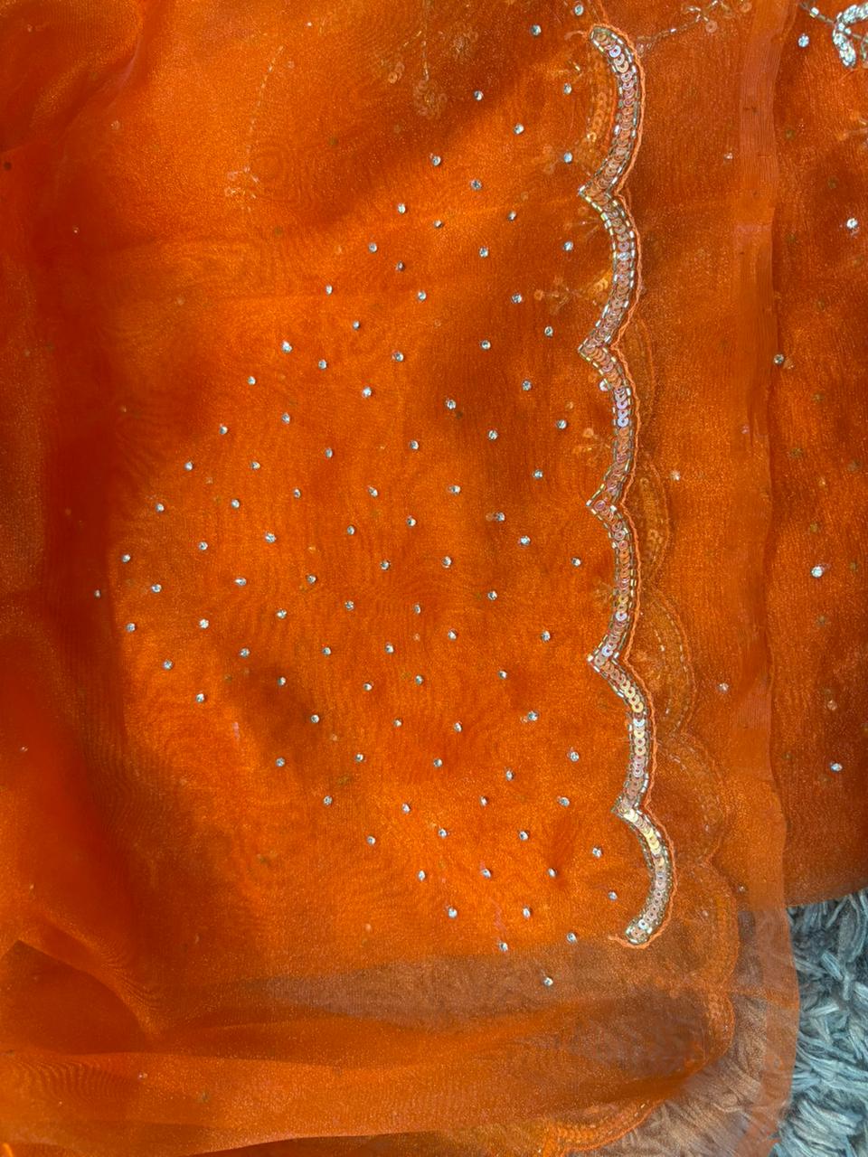 Viva Tissue Organza Saree – Ethereal Organza Finish