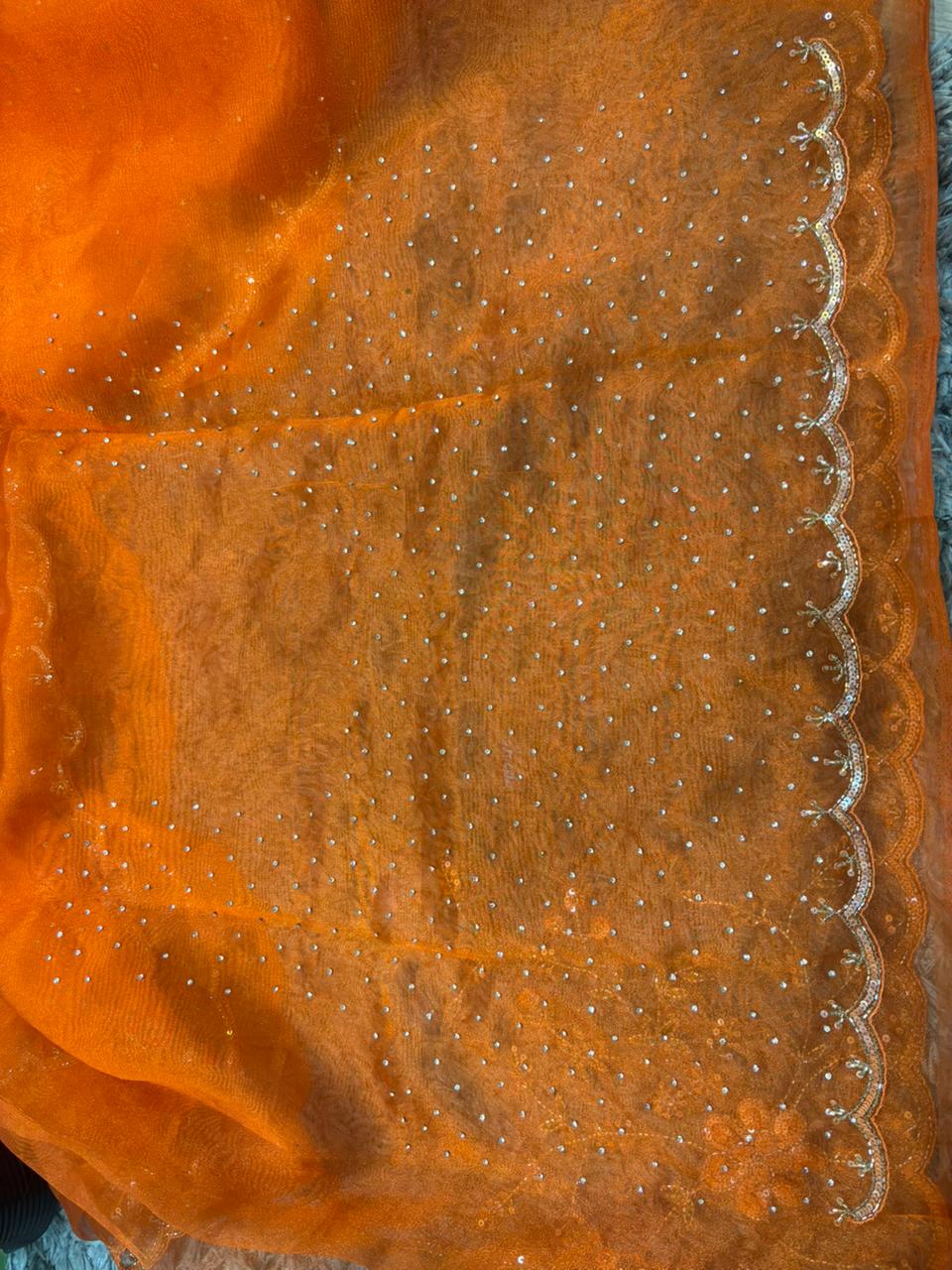 Viva Tissue Organza Saree – Ethereal Organza Finish