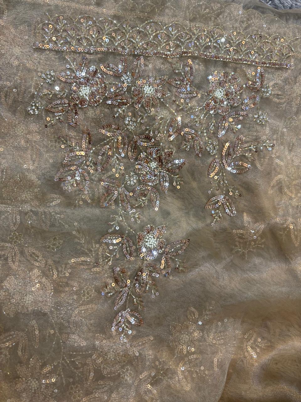 Rajrani Tissue Organza Saree – Regal Handcrafted Grandeur