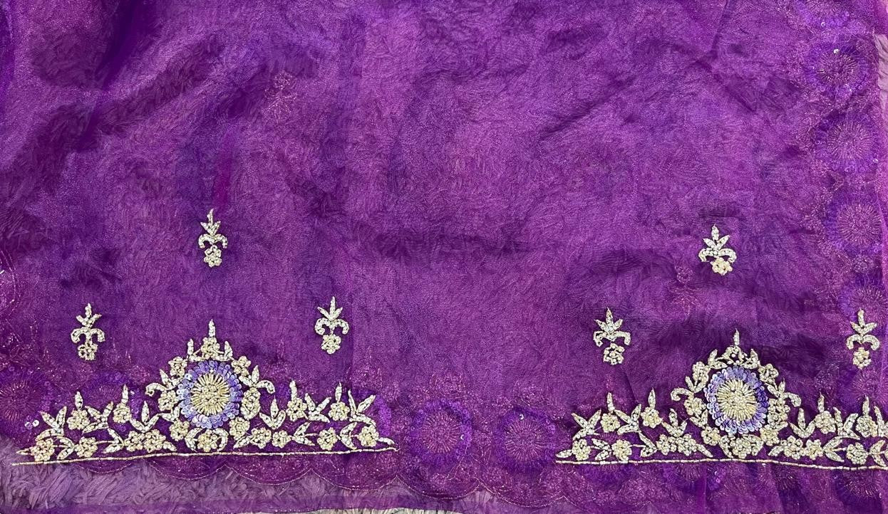 Ravina Premium hand worked tissue organza sarees