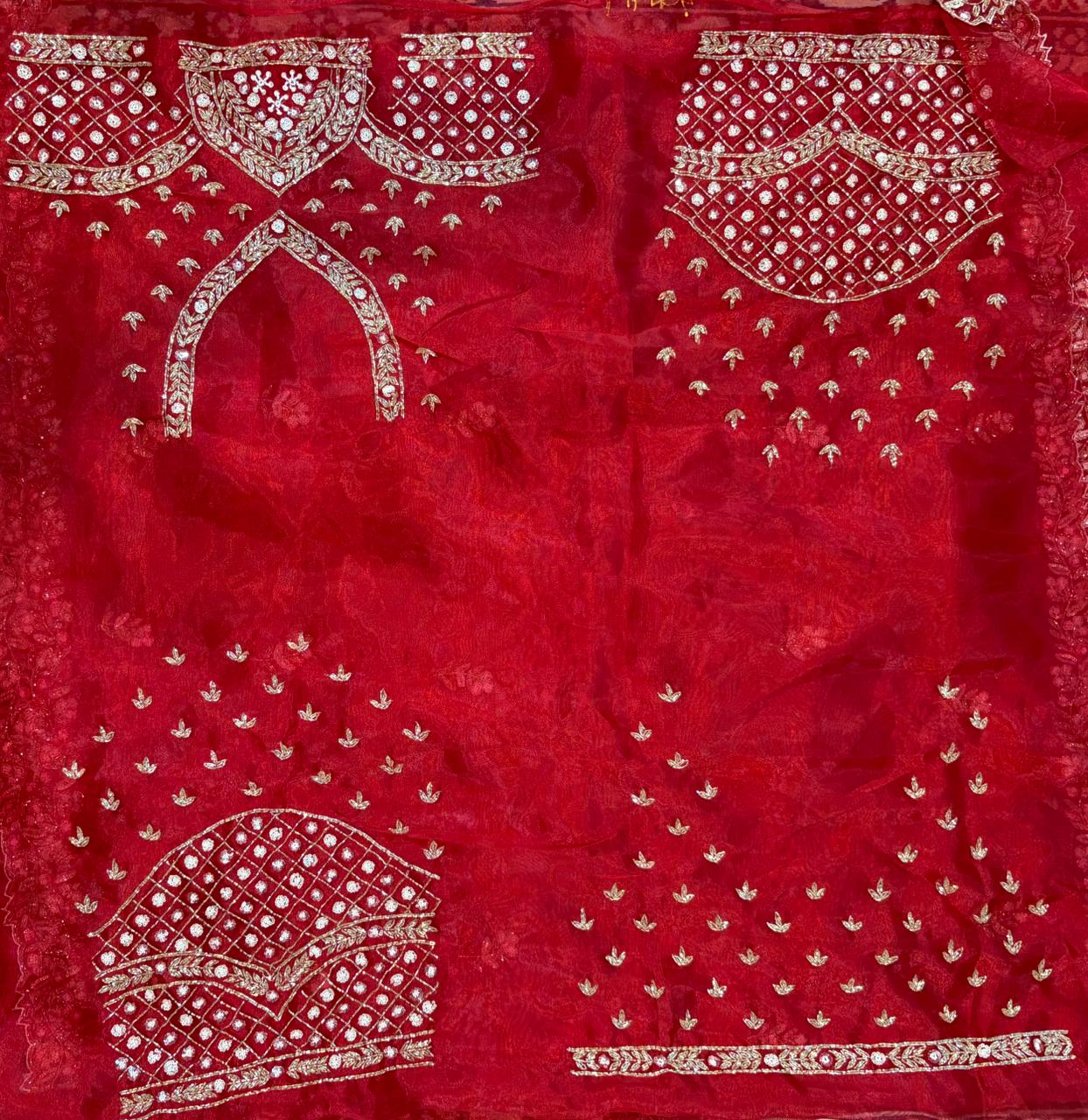 Nilam Exclusive Handworked Tissue Organza Saree with readymade blouse